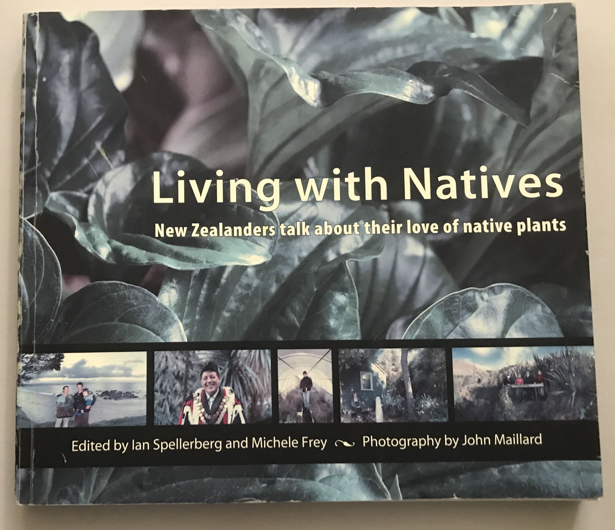 Living with Natives New Zealanders Talk About Their Love of Native Plants